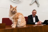 Kater Ernie sitzt auf dem Präsidentenpult im Plenarsaal und schaut aufmerksam in die Gegen. Im Hintergrund sitzt Frank Imhoff auf dem Präsidentenstuhl und betrachtet Ernie.